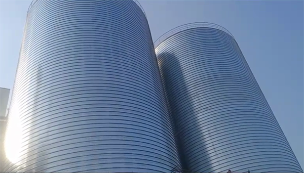 弋江2座混凝土高架卷板仓